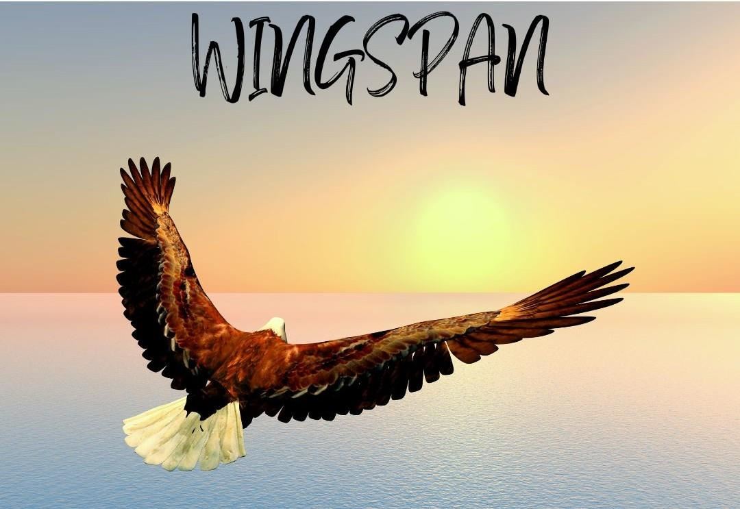 Wingspan Eagle